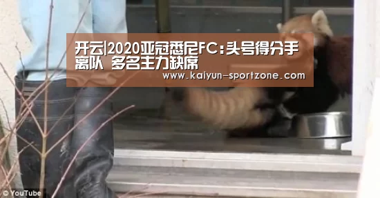 开云|2020亚冠悉尼FC:头号得分手离队 多名主力缺席(图2) 开云体育下载